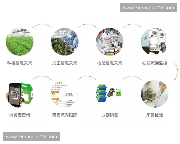 体育运输创新与发展：提升效率优化管理推动行业未来新机遇