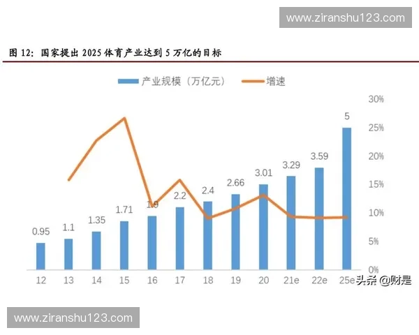 体育并购驱动产业升级与资本整合新路径与发展趋势研究框架探讨