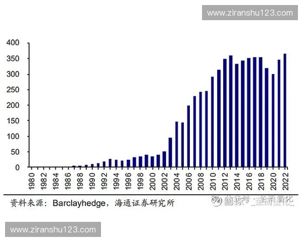 转会运作暗流涌动重塑联赛格局的资本博弈与球队策略解析全景观察