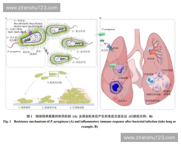 运动干预在改善慢性疾病管理中的作用及其机制研究