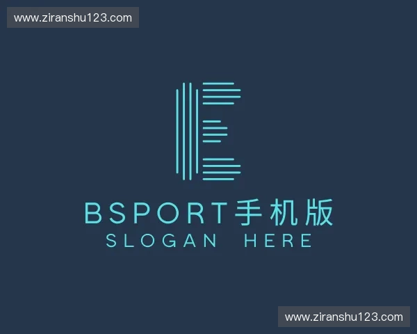 关于Bsport手机版